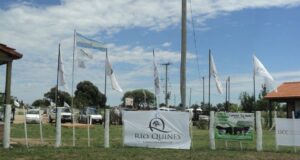 Quines se prepara para recibir la 18° edición de la Expo Toro del Norte de San Luis
