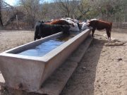 “El cobro del agua para consumo animal resulta decepcionante en San Luis”