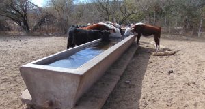 “El cobro del agua para consumo animal resulta decepcionante en San Luis”