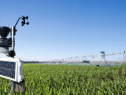 El agro ante un verano caluroso, lluvias normales y una Niña en el horizonte