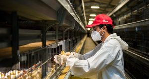 La industria pyme cayó 3,7% en noviembre