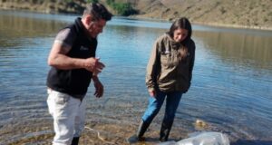 Sembrarán dos millones de truchas en ríos de San Luis