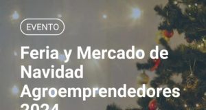 Con más de 20 puestos de tres departamentos, llega la Feria y Mercado de Navidad a San Luis