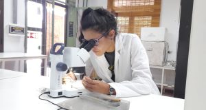 Un estudio botánico en Villa de Merlo en beneficio de la agricultura y la recuperación de suelos