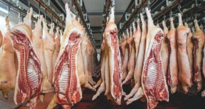 El segundo semestre equilibró un año complicado para el cerdo