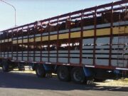 Para bajar costos a la producción, un municipio de Córdoba eliminará las tasas a las guías ganaderas