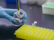 El gobierno aprobó en 2024 la mayor cantidad de productos biotecnológicos en casi 30 años