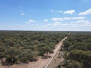 San Luis recibió los fondos de bosques nativos del año 2023 y 2024