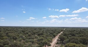 San Luis recibió los fondos de bosques nativos del año 2023 y 2024