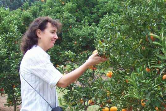 Betina Ernst: “Proyecto que podemos enviar más frutas argentinas a Europa”