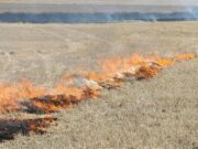 El 2 de febrero comienza el período de quemas controladas en San Luis