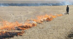 El 2 de febrero comienza el período de quemas controladas en San Luis