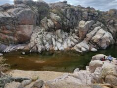 Calendario de pesca 2025: San Luis dio a conocer el nuevo reglamento