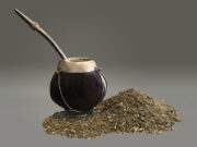 Especialistas del CONICET descifraron el genoma de la yerba mate