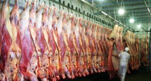 Faena de hembras: ¿Hemos alcanzado un techo en el nivel de extracción?
