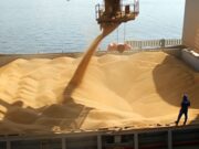 Mercado de granos: mejora el clima sudamericano, pero los precios siguen en niveles interesantes