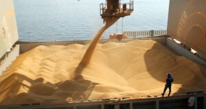 Mercado de granos: mejora el clima sudamericano, pero los precios siguen en niveles interesantes