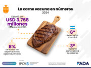 Exportaciones Agroindustriales: ¿Cómo nos va en el mundo con nuestros productos?
