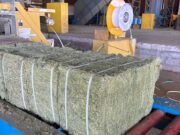 San Luis concretó un nuevo envío al exterior de alfalfa producida en campo propio