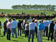 La confianza de los productores agropecuarios cayó 21,5%, su mayor contracción desde 2019