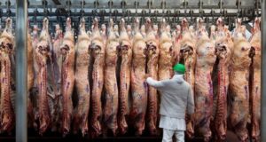 Mercado de carnes: un balance ajustado e inquietantes tensiones comerciales plantean un horizonte prometedor para Sudamérica