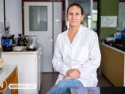 Evalúan en San Luis la actividad antibacteriana de la yerba mate