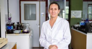Evalúan en San Luis la actividad antibacteriana de la yerba mate