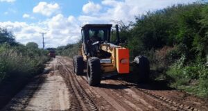 Vialidad Provincial realiza reparaciones en caminos vecinales de tres departamentos