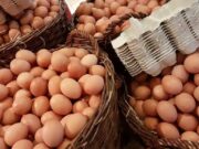 Argentina, segundo consumidor mundial de huevo