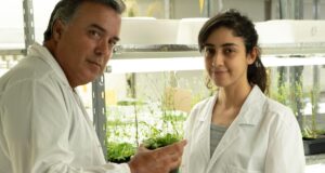 Determinan cómo las plantas expresan los genes necesarios para mejorar la absorción de agua y nutrientes a bajas temperaturas