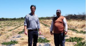 Proyecto frutícola en Baldecito: alcaparras y almendros con marca propia