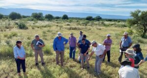 Taller sobre pastizales naturales en San Luis: hacia un manejo integral y regenerativo