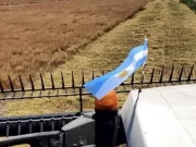 ¿Qué pierde el campo argentino con la reciente norma sobre cultivares?