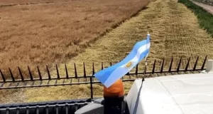 ¿Qué pierde el campo argentino con la reciente norma sobre cultivares?