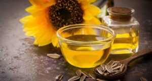 Aumenta la demanda mundial de aceites y Argentina registra embarques superiores a la media