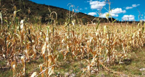 Cinco rurales de San Luis exigen diálogo y soluciones ante la crisis del sector