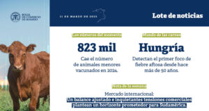 Un balance ajustado e inquietantes tensiones comerciales plantean un horizonte prometedor para Sudamérica