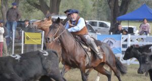 Aparte Campero en Villa Mercedes: destrezas y tradición en la 36° Fiesta Provincial del Ternero