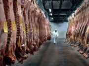 Cuáles son los sectores más afectados en la Argentina por la suba directa de aranceles