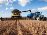 Mercados agrícolas: presión de cosecha local, señales de calma global y guerra comercial latente