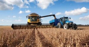 Mercados agrícolas: presión de cosecha local, señales de calma global y guerra comercial latente