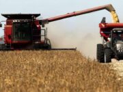 Volatilidad cambiaria, cosecha en marcha y tensiones globales: el agro argentino en la encrucijada