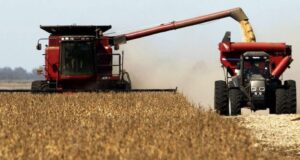 Volatilidad cambiaria, cosecha en marcha y tensiones globales: el agro argentino en la encrucijada