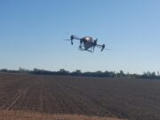 Siembra de alfalfa con drones: una innovación que gana terreno en San Luis
