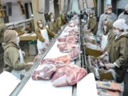 Exportaciones: una demanda firme en un mercado en alza