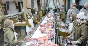 Exportaciones: una demanda firme en un mercado en alza