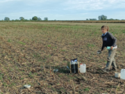 Intensificación agrícola: Cómo mejorar los suelos con más cultivos