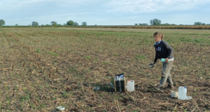 Intensificación agrícola: Cómo mejorar los suelos con más cultivos