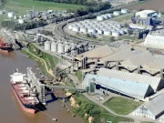 La Bolsa de Rosario reveló que tres multinacionales manejan el 40% de las exportaciones de granos y subproductos de la Argentina
