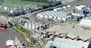 La Bolsa de Rosario reveló que tres multinacionales manejan el 40% de las exportaciones de granos y subproductos de la Argentina